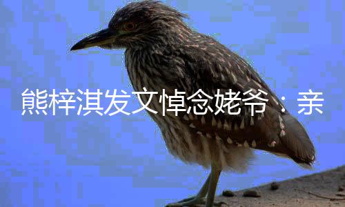熊梓的姥文悼淇发亲爱念姥走好爷爷 一路