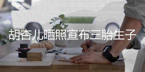 儿晒胡杏布三胎生男孩照宣子又是奕宏 李來了
